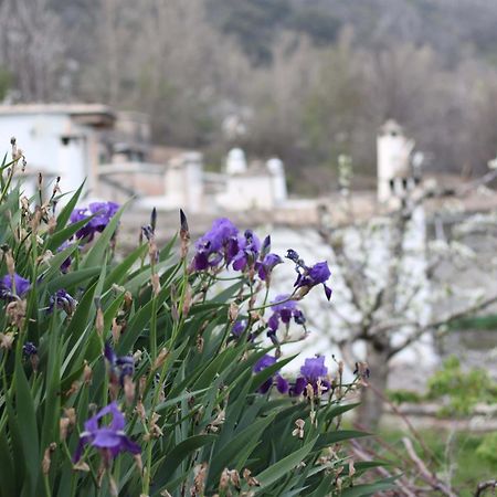 AtalbeitarCasa Violeta别墅 外观 照片